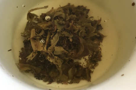千家寨古树茶哪个茶区？