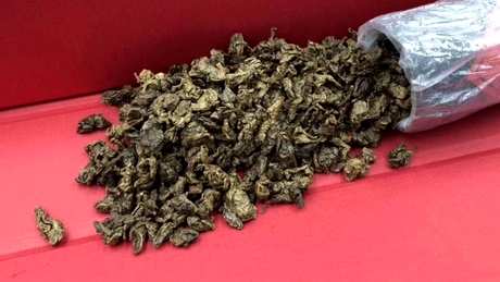 谁不能喝奇楠茶？