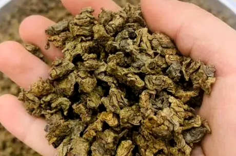 谁不能喝奇楠茶？