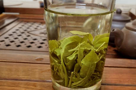毛尖茶是绿茶还是红茶