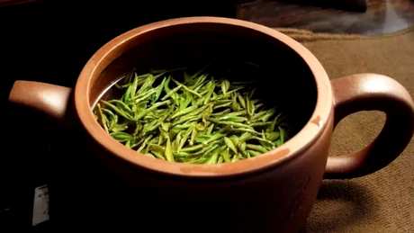 用什么紫砂壶泡绿茶？