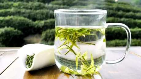 绿茶需要洗茶吗？