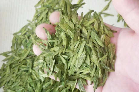 绿茶需要洗茶吗？