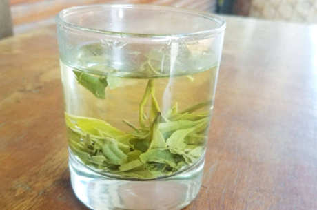 绿茶需要洗茶吗？