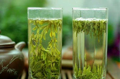 绿茶冷藏好还是冷冻好？