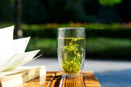 绿茶和菊花泡的禁忌