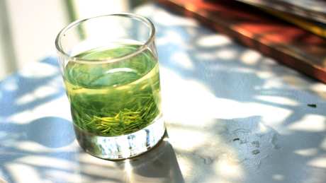 绿茶能做奶茶吗？