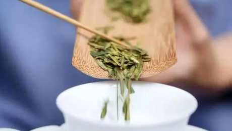 绿茶冲泡法