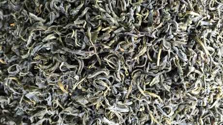 绿茶保存冷冻还是冷藏
