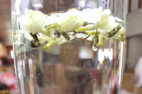 茉莉花茶属于绿茶吗？