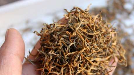 云南茶有哪些种类？