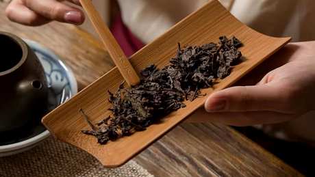 哪些茶可以煮着喝
