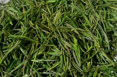 哪种茶是绿茶？