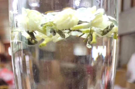 茉莉花茶是绿茶还是红茶