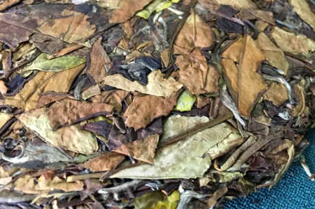 什么茶属于老白茶？