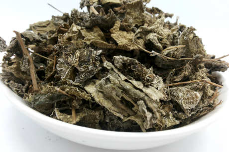 每天都可以喝溪黄茶吗？