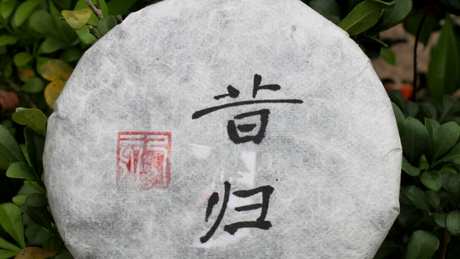 古树茶的特点是什么？