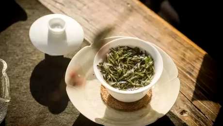 白茶的口感特点