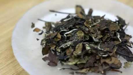 是泡还是煮白茶饼？