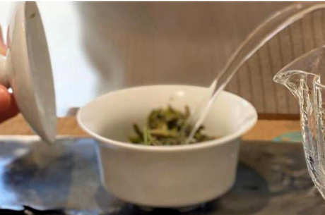 是泡还是煮白茶饼？