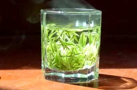 安吉白茶和福鼎白茶的区别