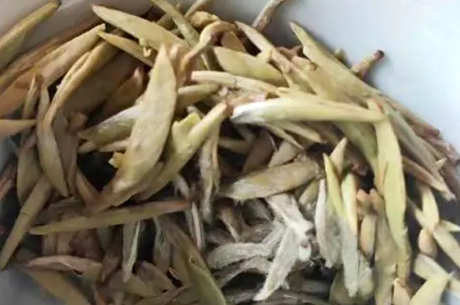 白毫银针原产地