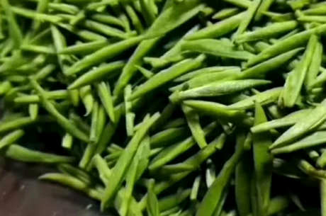 碧螺春名茶产地