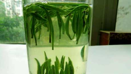 竹叶青茶好吗？