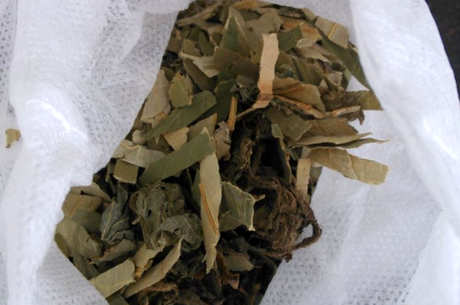 制作荷叶茶的方法