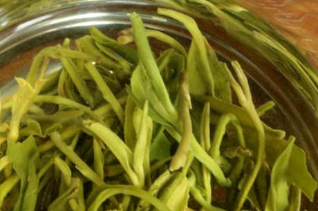 碧螺春是绿茶吗？