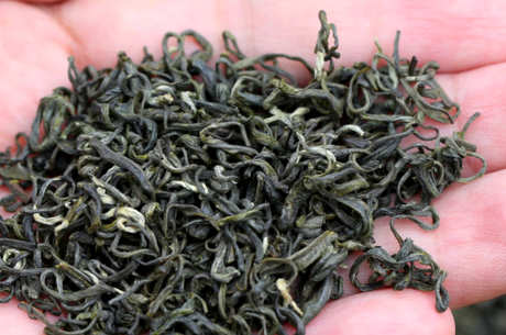 碧螺春是绿茶吗？