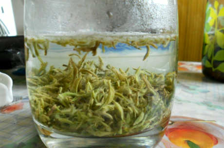 什么样的绿茶好？