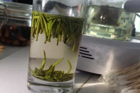 什么样的绿茶好？