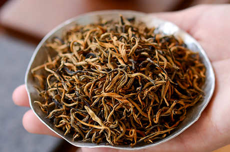 滇红茶属于什么茶？