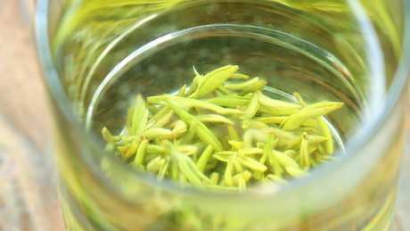 洞庭碧螺春是绿茶吗？