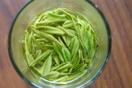 洞庭碧螺春是绿茶吗？