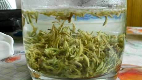 碧螺春是什么样的茶？