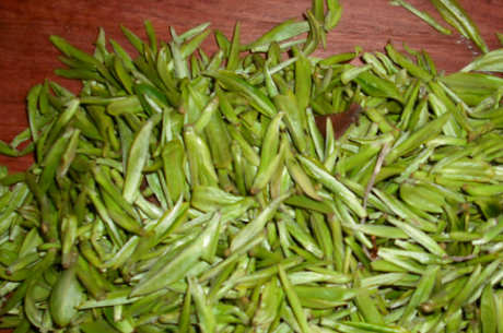碧螺春是什么样的茶？