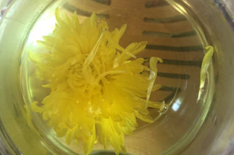 秋天喝什么茶？