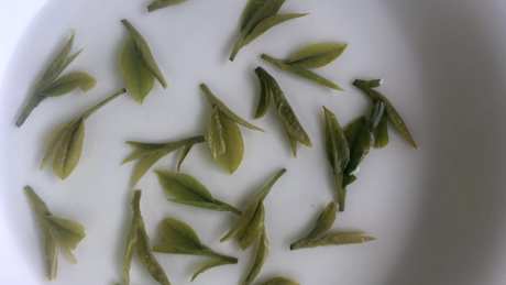龙井茶的起源