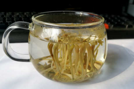 春天喝什么茶？