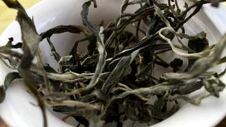 过期的茶还能喝吗？