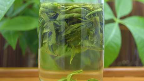 六安瓜片属于什么茶？
