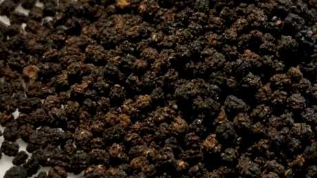 如何泡虫屎茶？