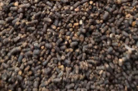 如何泡虫屎茶？