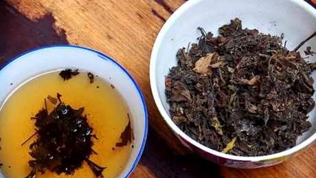 什么是虫屎茶？