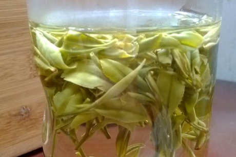 雀舌属于什么茶？
