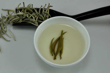 为什么白茶叫白茶？