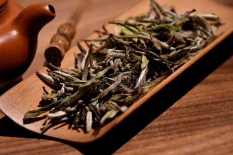 什么季节喝白茶好？