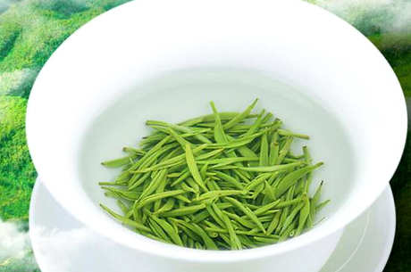 毛尖怎么泡
